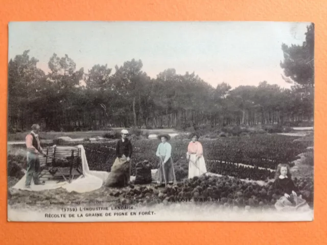 cpa Cachet Gare de DAX en 1910 INDUSTRIE LANDAISE Récolte de la GRAINE de PIGNE