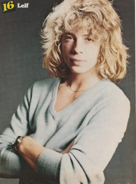 Leif Garrett Rex Smith teen magazine pinup clipping 16 mag crossed arms pix