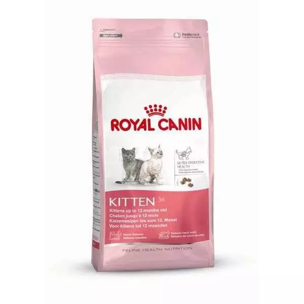 Royal Canin Gatito 2 x 4 KG ( 17,49€/ KG)