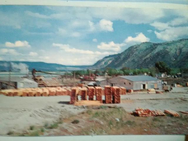 Vintage Post Card Aerial View Over  A Typical Small  Saw-Mill  Oregon !!