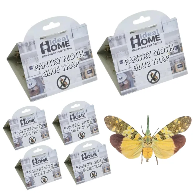 6PCS Pantry Moth Trap Ecofriendly Fly Catcher, Sticky Indoor Fly Trap