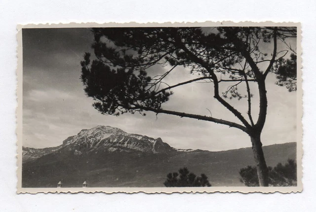 OLD PHOTO France surroundings de Grenoble 1937 landscape mountain snow tree