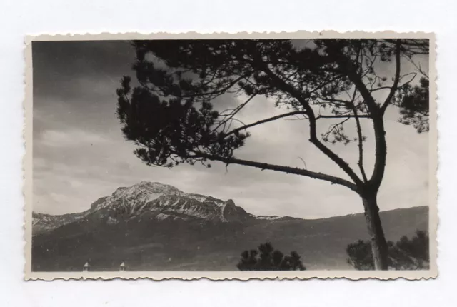 PHOTO ANCIENNE France Environs de Grenoble 1937 Paysage Montagne Neige Arbre