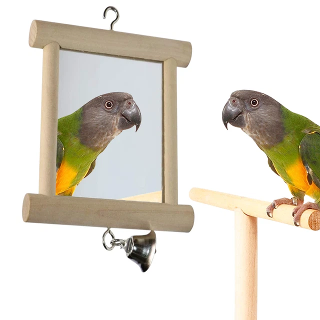Haustier Vogelspiegel mit Glocke Massivholz Vogel Papagei Spielzeug Schaukel Vog