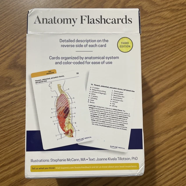 Anatomy Flashcards Kaplan Medical 310 Detailed Full C vrogue.co