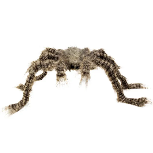 Haarige Riesen-Spinne Tarantula Horrordeko Halloween Dekoration Vogelspinne