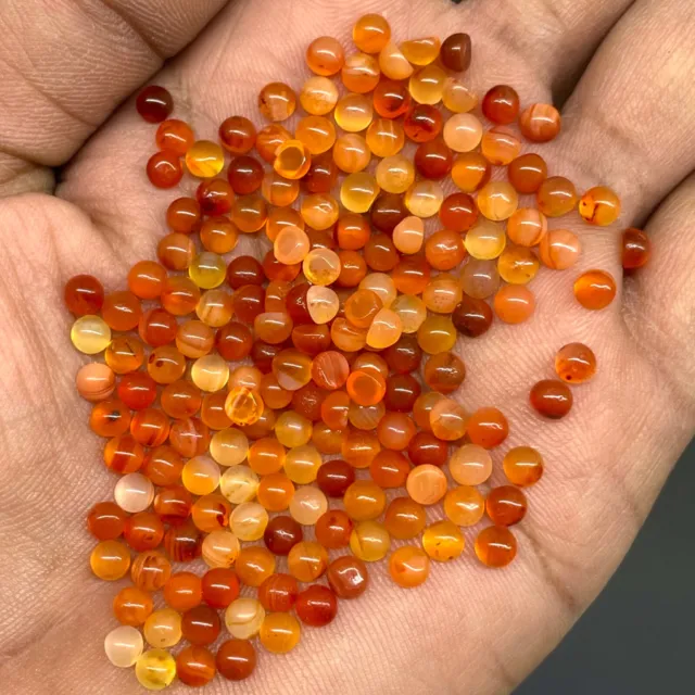 100 Pcs Natural Orange Carnelian 4mm Round Cabochon Loose Gemstone Wholesale Lot