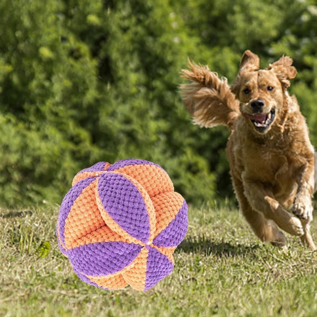 Pet Sniff Ball Toy Increase IQ Portable Puppy Playing Interactive Dog Toys