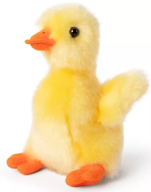 Living Nature Yellow Duckling - An711 Duck Bird Animal Water Cute Fluffy Yellow