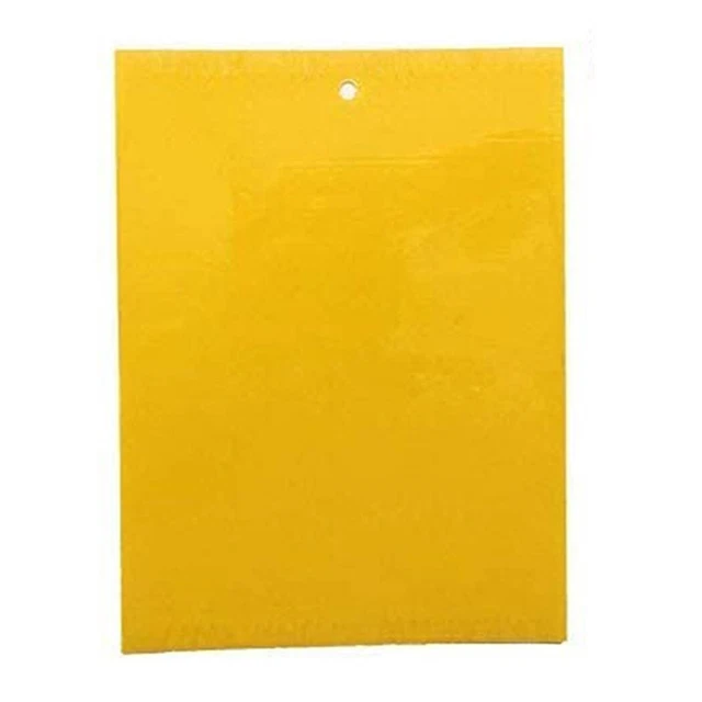 Yellow Blue Sticky Glue Paper Insect Trap Catcher Killer Fly Aphids Wasp 1x