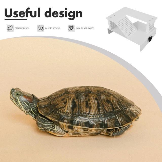 Rampa Per Tartarughe In Acrilico XL - Piattaforma Da Appendere Per Terrario, 35x20x25cm - Foto 7