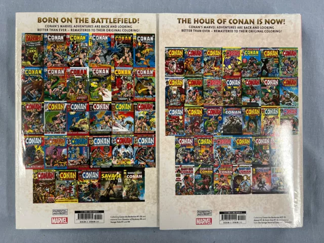 Marvel Comics CONAN BARBARIAN Omnibus Vol #1 and 2 DM Cover (2020) Global Ship 2