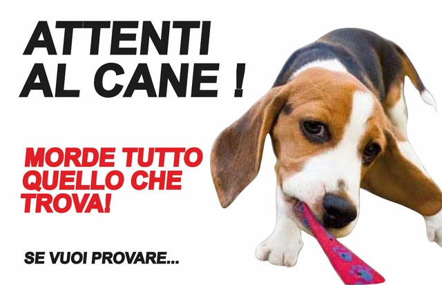Cartello Attenti Al Cane In Metallo - Dimensioni 20x30 Cm | Segnale Di Sicurezza Per Giardino E Cancelli - Foto 5