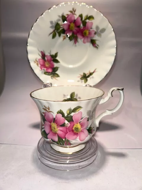 Vintage Royal Albert Prairie Rose Teacup & Saucer-Gold Trim