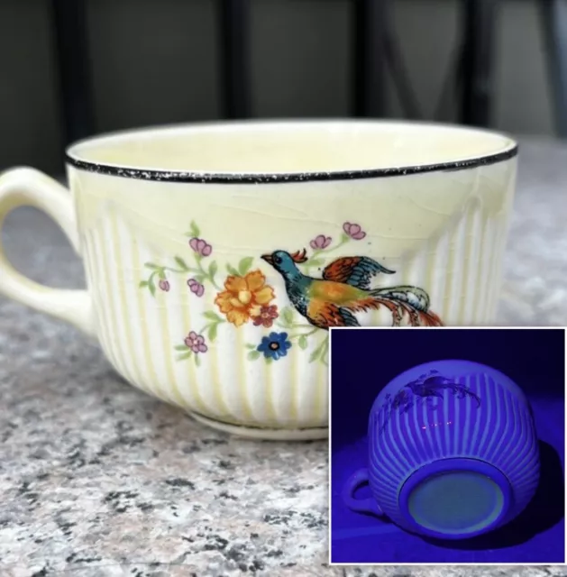 Salem Antique Ivory Uranium Glaze Bird of Paradise Flowers 3.5” Mug Cup