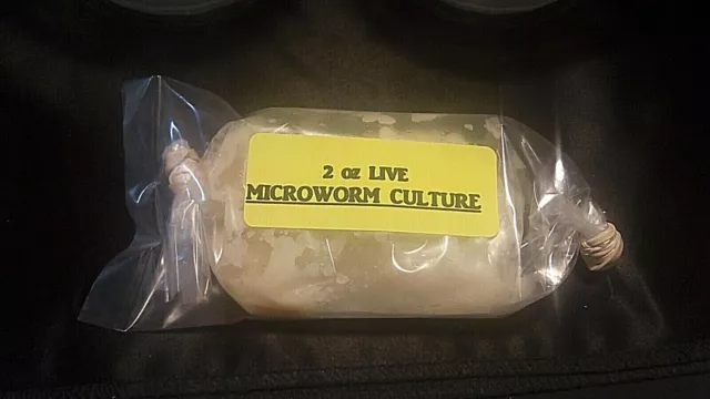 2 OZ LIVE MICROWORM CULTURE Panagrellus redivivus Fry Food Guppy Betta Barb B2G1 2