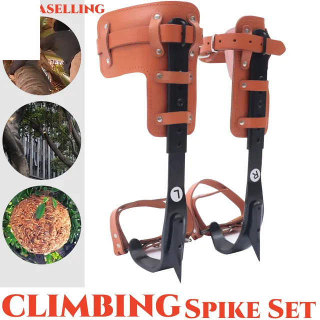 Tree Climbing Spike Set Pole Climbing Spurs Steel Adjustable Climber Strap Gaffs