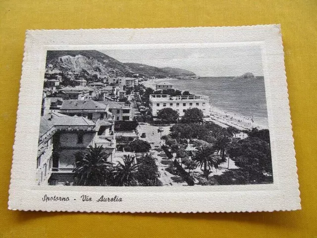(FG.RR136) SPOTORNO - VIA AURELIA (vg 1956, ed. Gnecco)