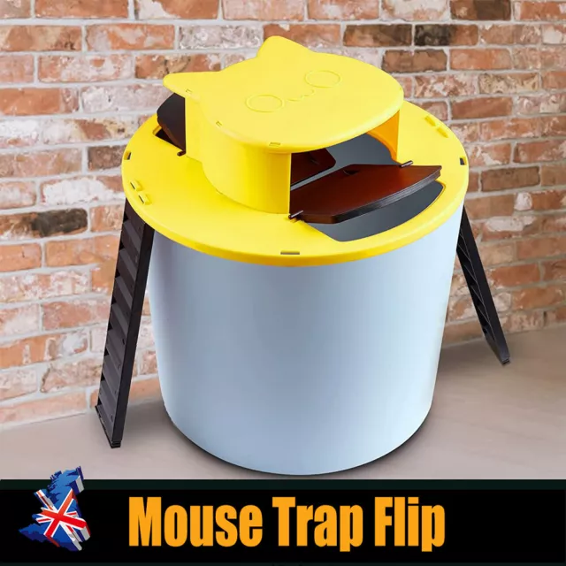 Mouse Trap Flip N Slide Bucket Lid Mouse Rat Trap with Ladder Mousetrap Catcher