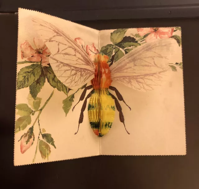 Rare Antique 1905 Folding Postcard With 3D Foldout Paper Model Of A Bee - Vgc