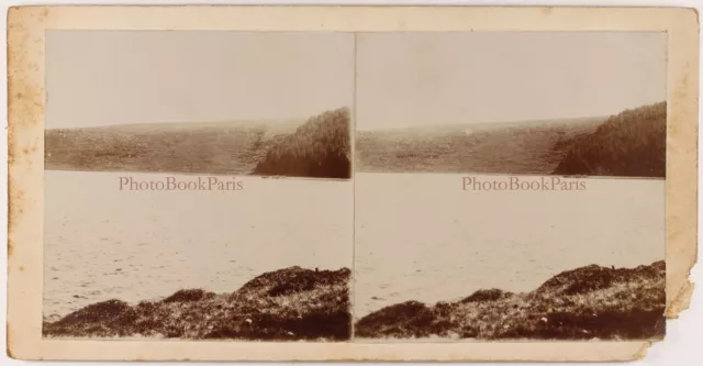 FRANCE Lac Paysage Photo Stereo Amateur Vintage Citrate c1900