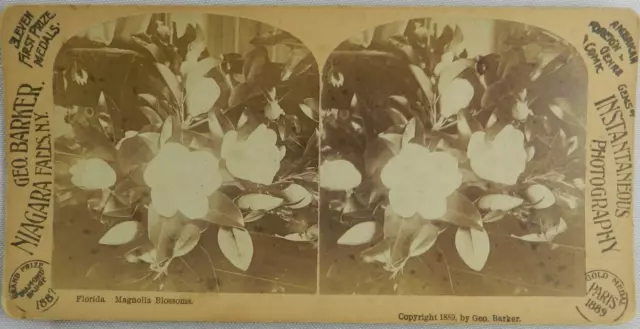 1889 Magnolia Blossoms Photo Niagara Falls, N.Y. - Stereoview Card - Stereoscope