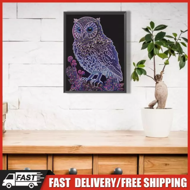 5D DIY Partially Specially Shaped Drill Diamond Painting Set Owl Home Decoration DE