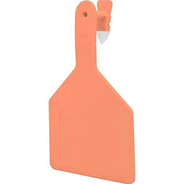 DATAMARS 9053601/53601 288224 Z Blank Ear Tags, Orange