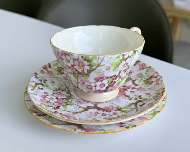 Shelley - Maytime, Bone China Chintz Tea Trio, Bargain Collectables