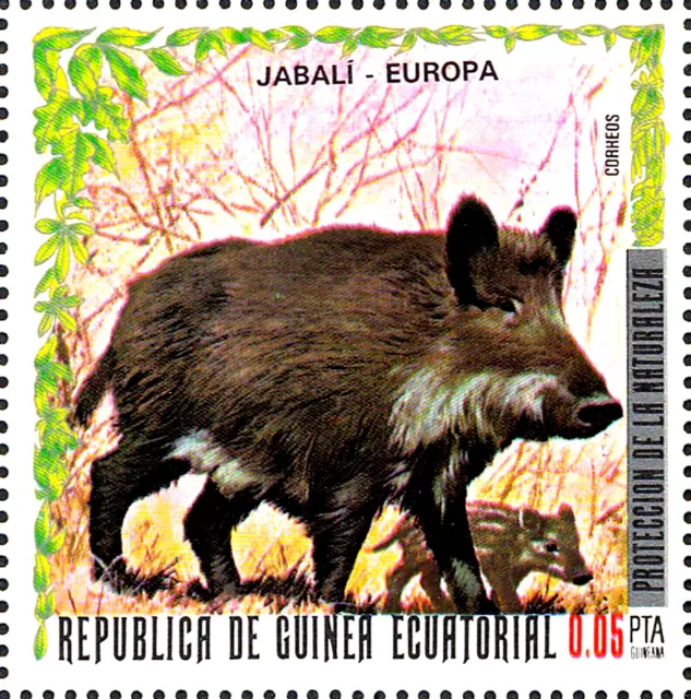 MNH animal wildlife pig wild boar piglet animal child baby forest animal fauna / 1403