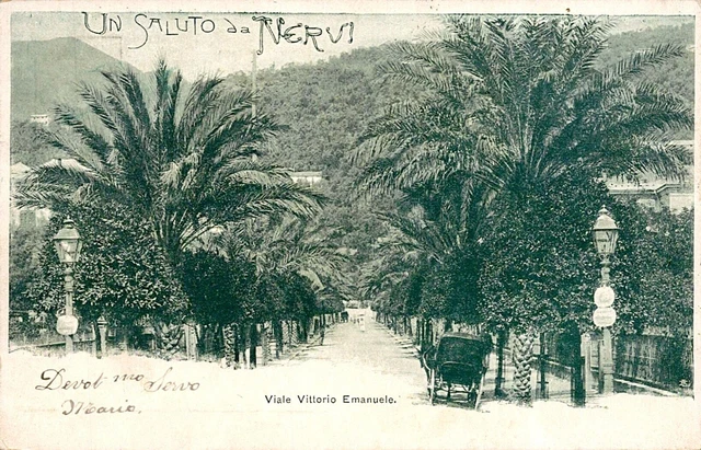 Cartolina - Regno - Un Saluto da Nervi - Viale Vittorio Emanuele - 2 c - FP - VG