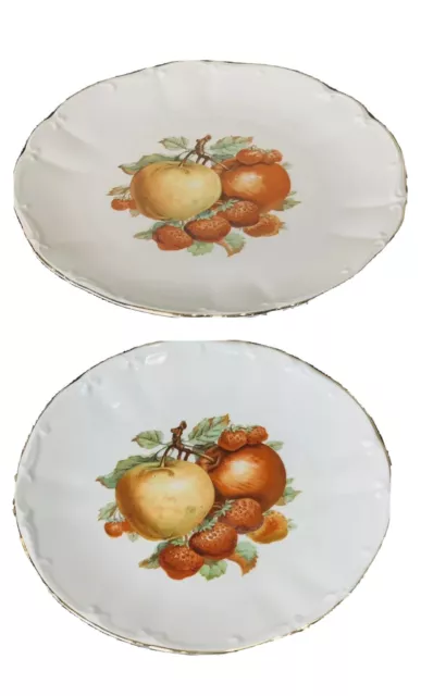 VTG  Bareuther Waldsassen Bavaria Germany Colorful Gold Trim Plates Set Of 2