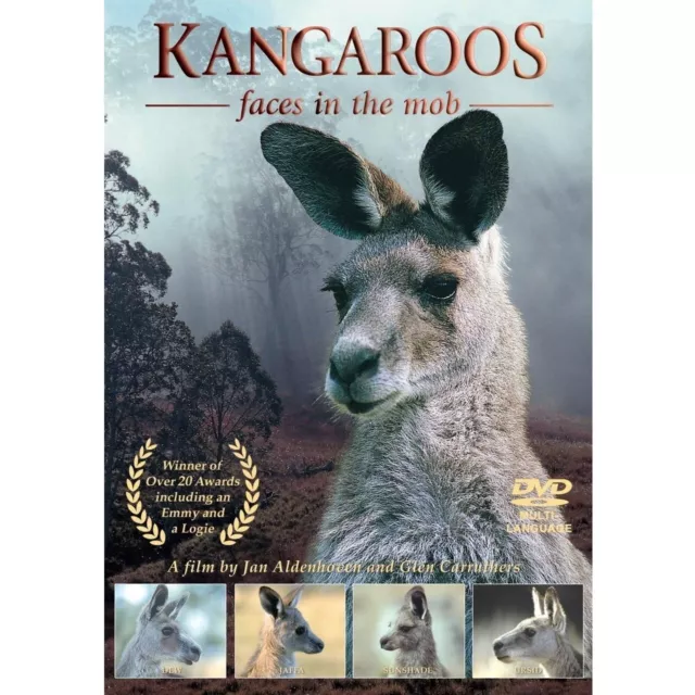 Kangaroos - Faces In The Mob (DVD, 1992) PAL Region Free (RARE Australia Documen