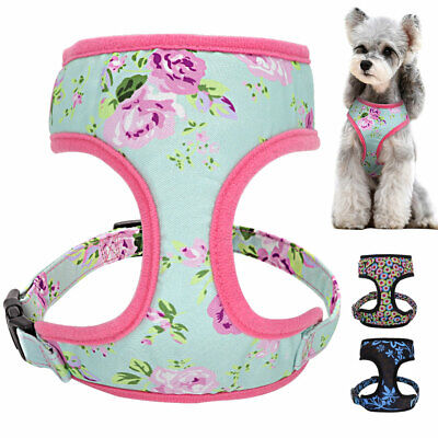 Breathable Air Mesh Small Medium Pet Dog Vest Harness for Walking Cute Floral