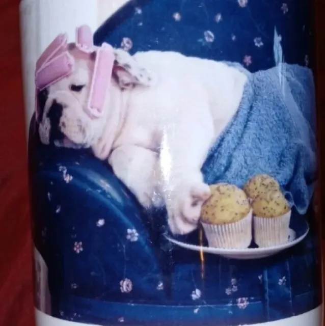 Bulldog Relaxing in Hair Curlers with Cupcakes Coffee Mug Tea Cup Dog Lovers