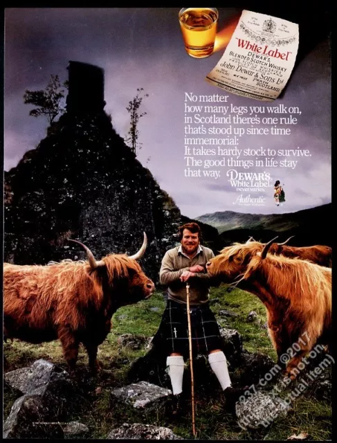 1988 highland cattle bull photo Dewar's Scotch Whisky vintage print ad