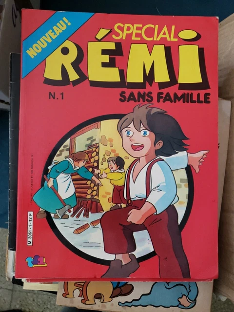 PUZZLE RÉMI SANS FAMILLE MB 100 PIÈCES VINTAGE