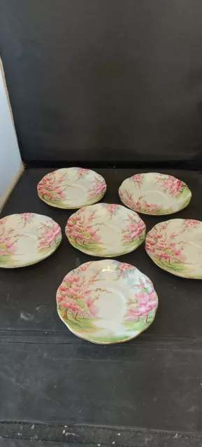 Royal Albert . Blossom Time . Replacement  Saucers x 6