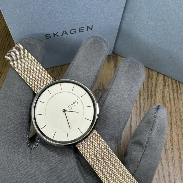 NEW✅ Skagen Gitte Two Tone Rose Gold Stainless Steel Mesh Women's Watch SKW3014