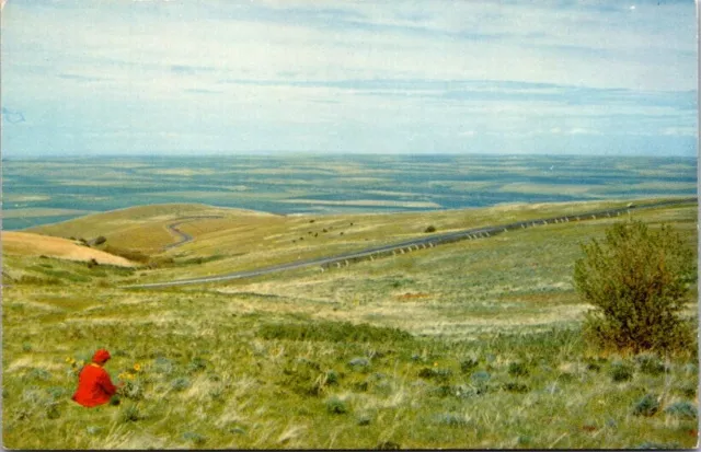 Postcard View of the Wheat & Other Farmlands near Emigrant Hill Oregon OR   W611