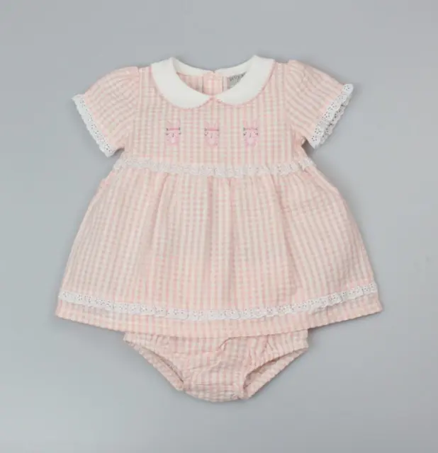 Baby Girls Dress & Pants Set  ~ Gingham Lace & Bunnies ~ 100% Cotton ~ 0-3-6-9M