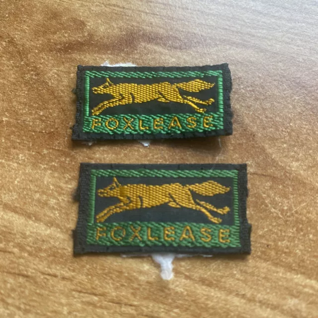 Two Girl Guide Badges. Foxlease.