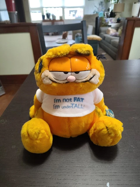 当時物 タグ付 DAKIN GARFIELD ぬいぐるみ I'M NOT FAT 当時物 タグ付 DAKIN GARFIELD ぬいぐるみ I'M NOT FAT - メルカリ