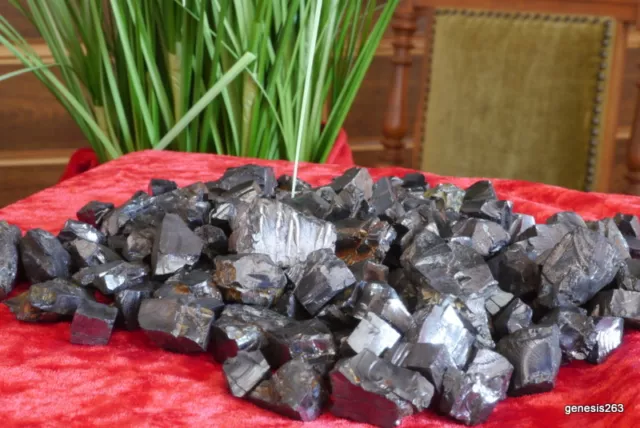 Edel Schungit (100g) shungite 4-8g Wasser & eSmog Elite Schungit HQ! Premium