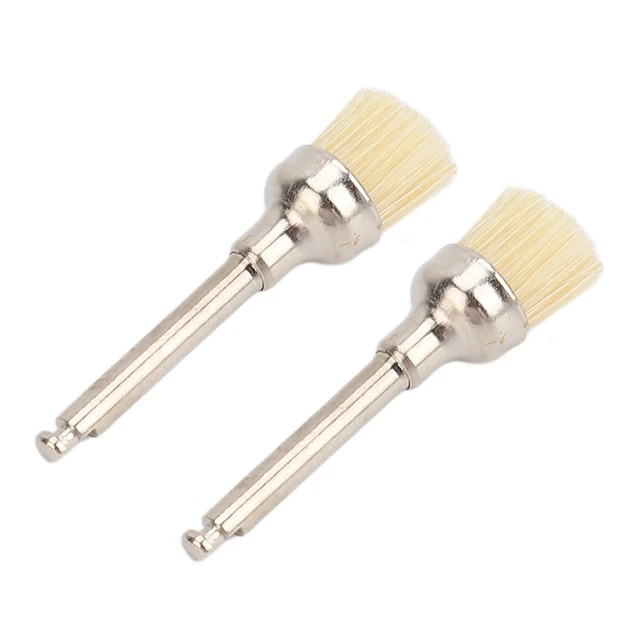 Ensemble De Brosses De Polissage Brosse De Polissage Orale 100 Pièces Avec Boîte