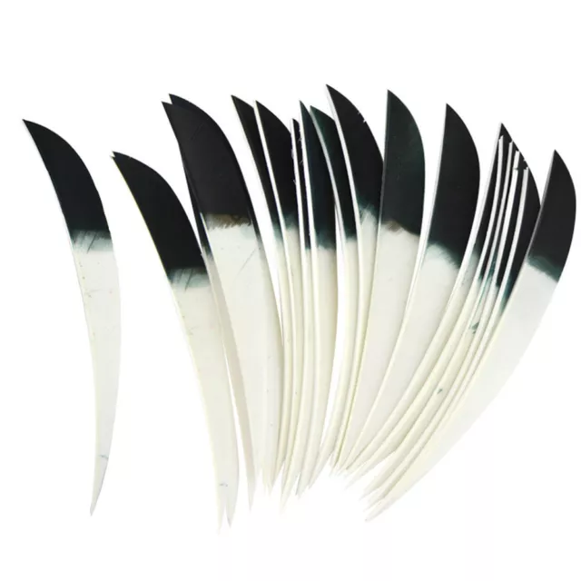 Archery Arrow Feathers 5" Turkey Fletches Fletching Natural Right Wings DIY