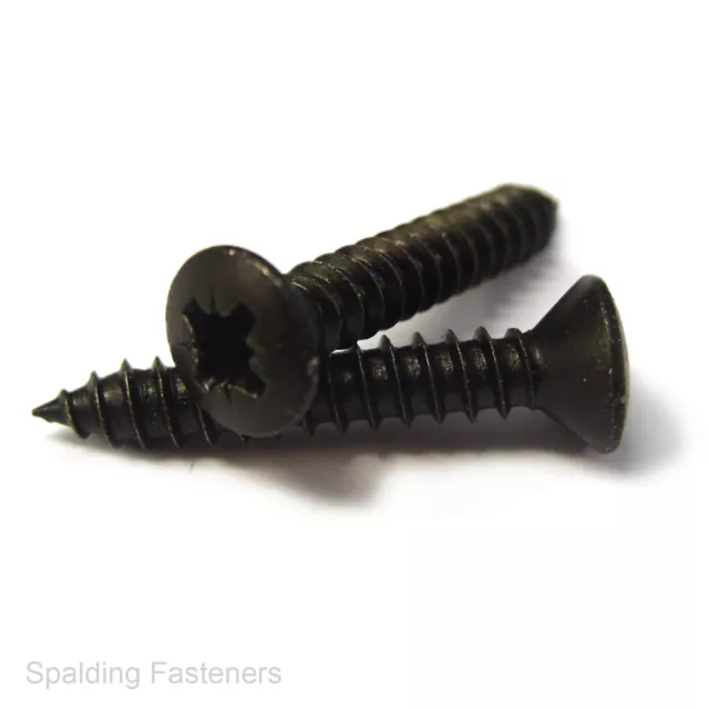 Black Raised Countersunk Pozi Self Tapping Screws No4, 6, 8, 10 & 12. 3/8-1 1/2"