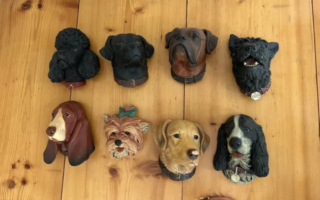 8 Bossons Dog Heads Made in England Chalkware Legend Congleton