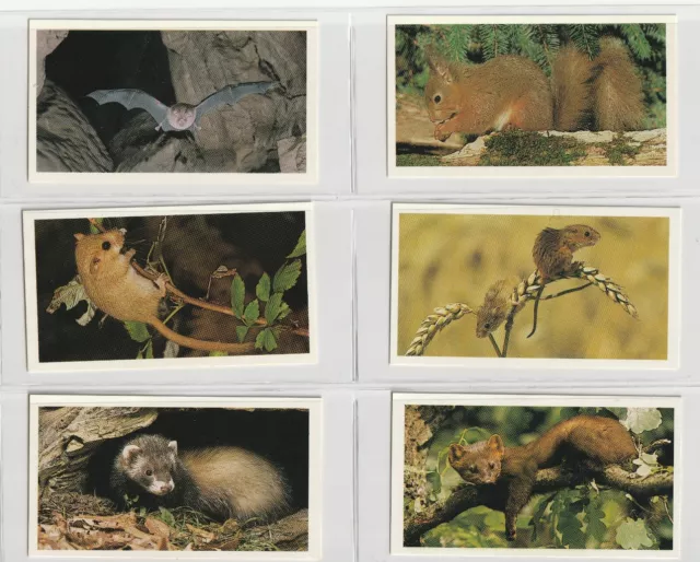 Players Britain's Endangered Wildlife - Grandee Full set 32 cigarette cards