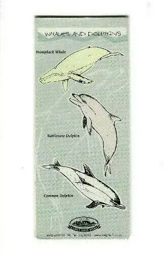 Magnetic Bookmark Dolphin Whales Humpback Brydes Bottlenose Fish Sea Lover Gift